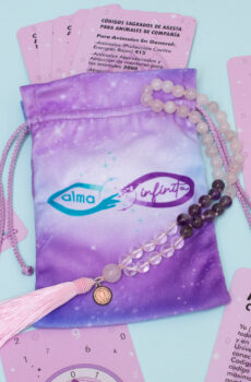 Kit Lenguaje del Universo